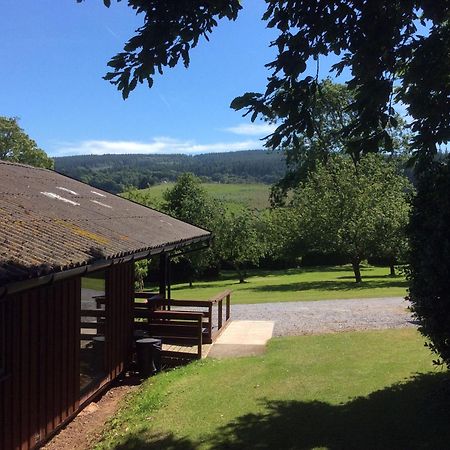 Laburnum Lodge Sleeps 6 Wheelchair Access Minehead Zewnętrze zdjęcie